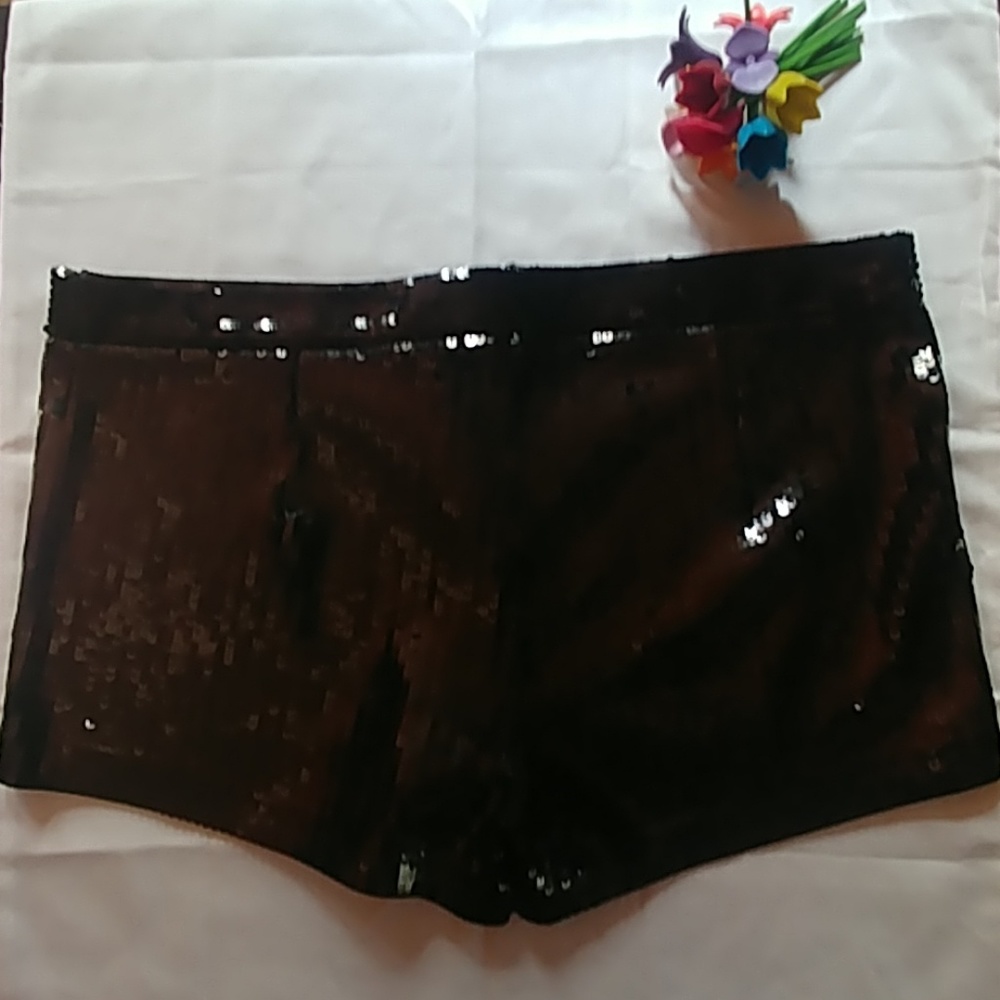 Express Sequied Shorts! NWOT! - Picture 5 of 5